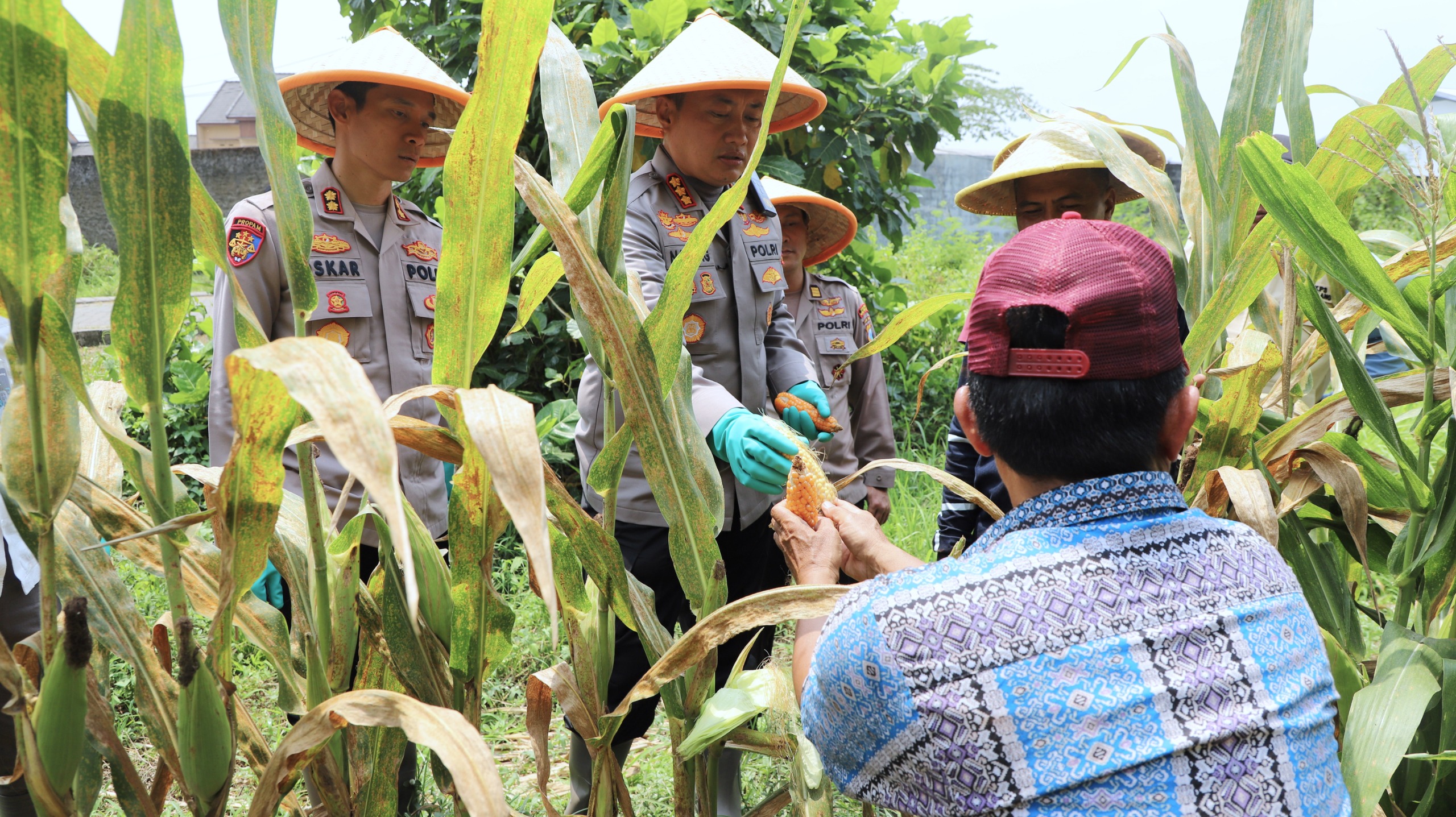 Dukung Swasembada Pangan Nasional Polresta Malang Kota Targetkan Lahan 26,35 Hektar untuk Kuartal IV