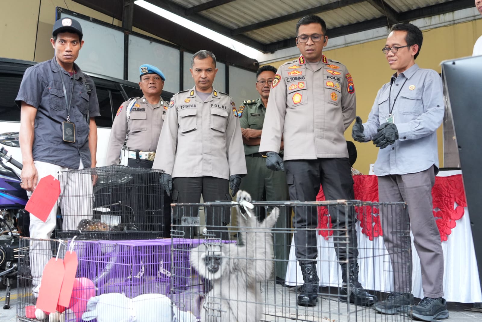 Polresta Sidoarjo Ungkap Perdagangan Ilegal Satwa Lindung Jaringan Internasional
