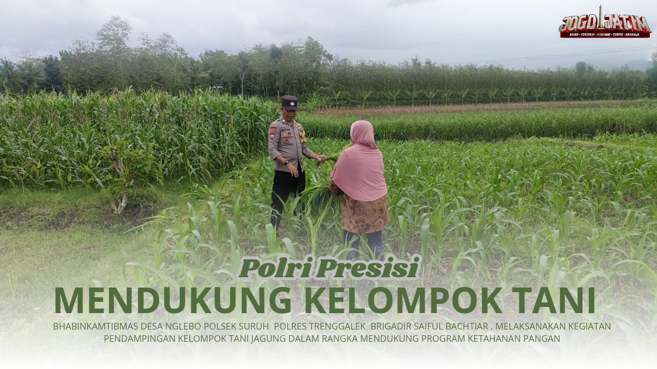 Bhabinkamtibmas Polsek Suruh Jaga Jagung Kagem Jaga Pangan