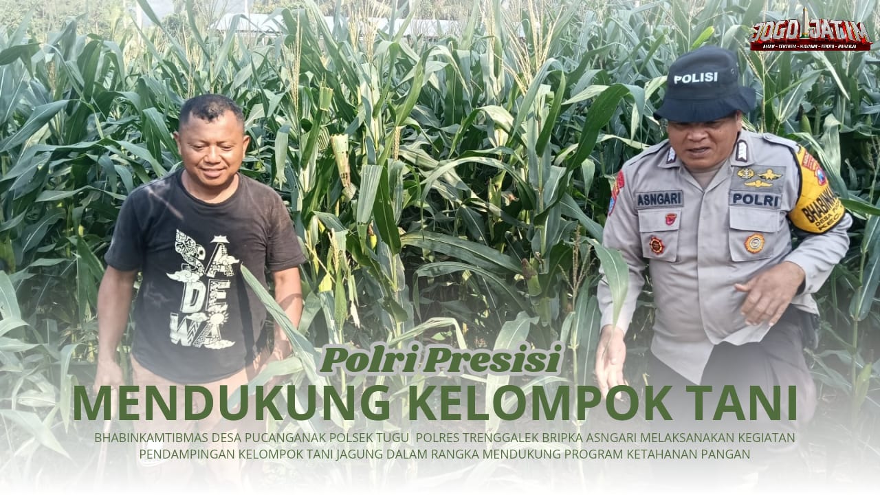 Dukung Ketahanan Pangan, Bhabinkamtibmas Pucanganak  Lakukan Pendampingan Kelompok Tani Jagung