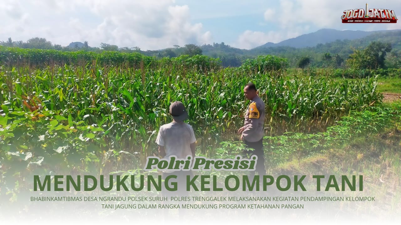 Laksanakan Ketahanan Pangan, Bhabinkamtibmas Ngrandu  Lakukan Pendampingan Kelompok Tani Jagung