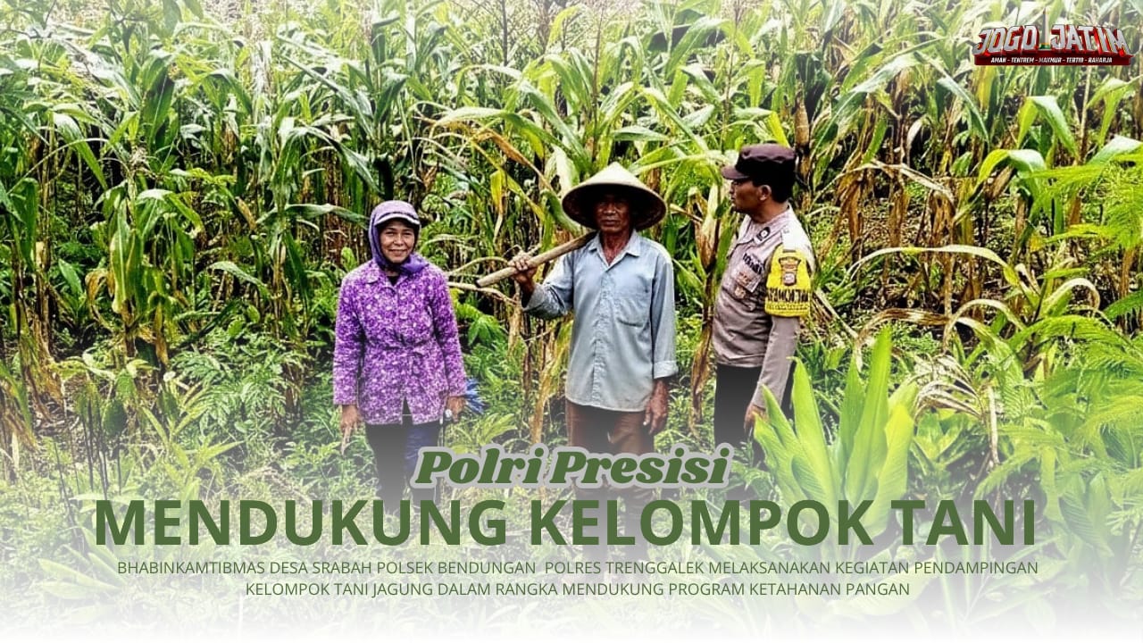Laksanakan Ketahanan Pangan, Bhabinkamtibmas Srabah  Lakukan Pendampingan Kelompok Tani Jagung