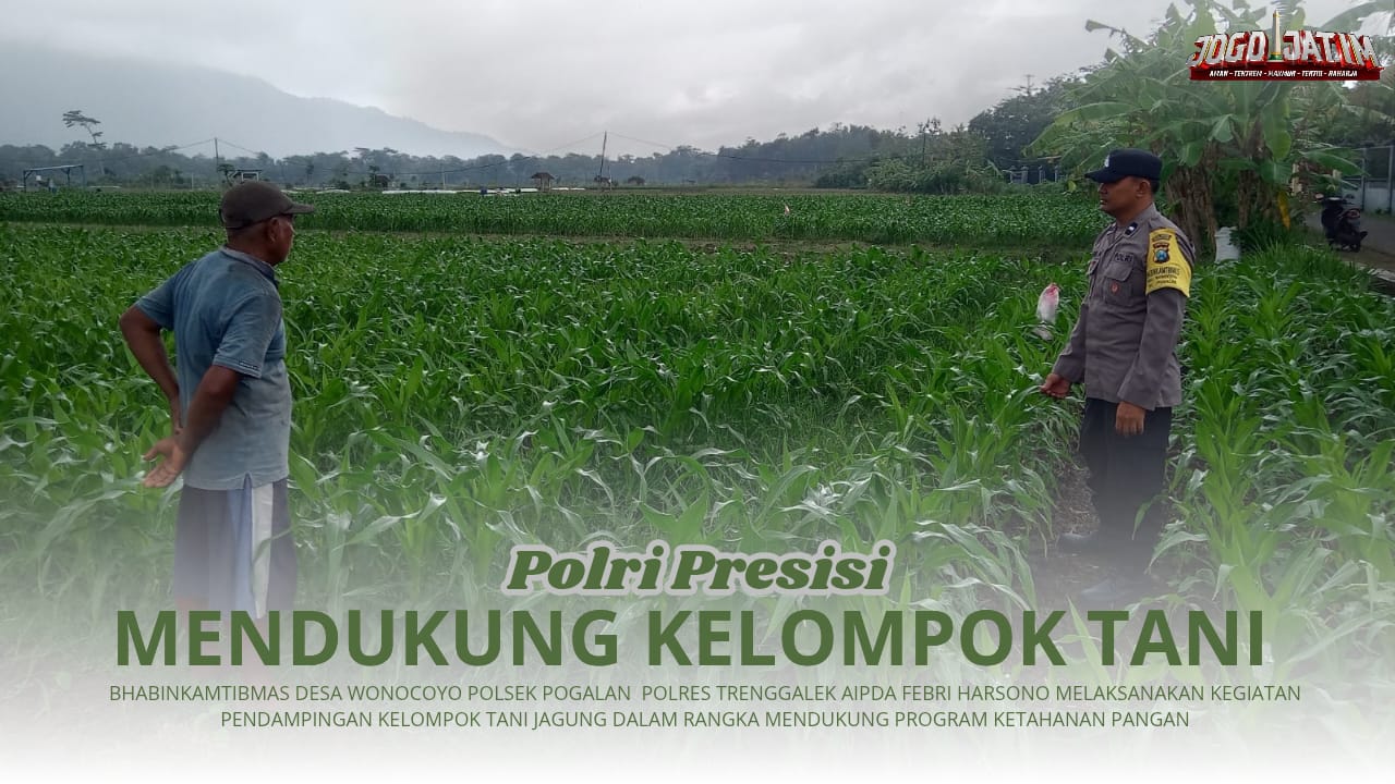Mantapkab Ketahanan Pangan, Bhabinkamtibmas Wonocoyo  Lakukan Pendampingan Kelompok Tani Jagung