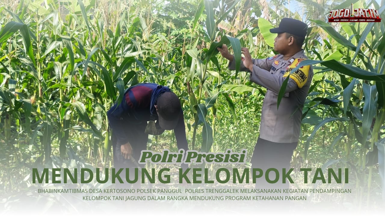 Mantapkan Program Ketahanan Pangan, Bhabinkamtibmas Kertosono  Lakukan Pendampingan Kelompok Tani Jagung