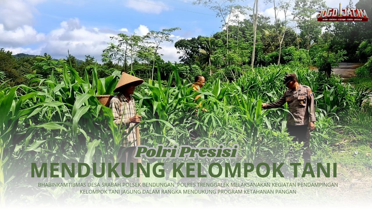 Laksanakan Ketahanan Pangan, Bhabinkamtibmas Desa Srabah Aktif Lakukan Pendampingan Kelompok Tani Jagung