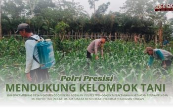 Dukung Program Presiden, Bhabinkamtibmas Desa Ngadirenggo Aktif Lakukan Pendampingan Kelompok Tani