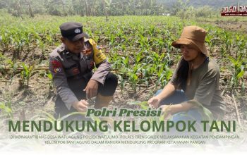 Laksanakan Ketahanan Pangan, Bhabinkamtibmas Desa Watuagung Aktif Lakukan Pendampingan Kelompok Tani Jagung