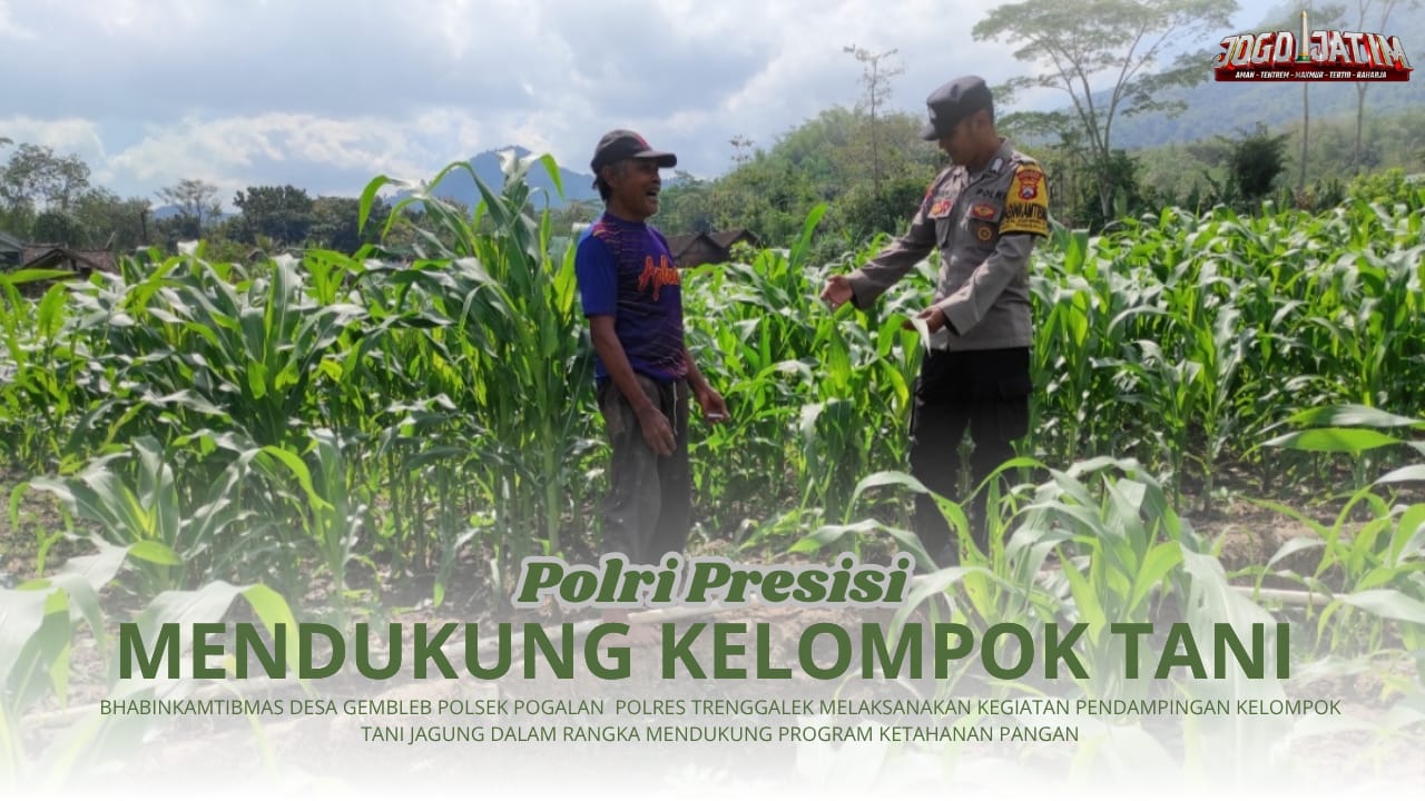 Aktif Program Ketahanan Pangan, Bhabinkamtibmas Masaran  Lakukan Pendampingan Kelompok Tani Jagung
