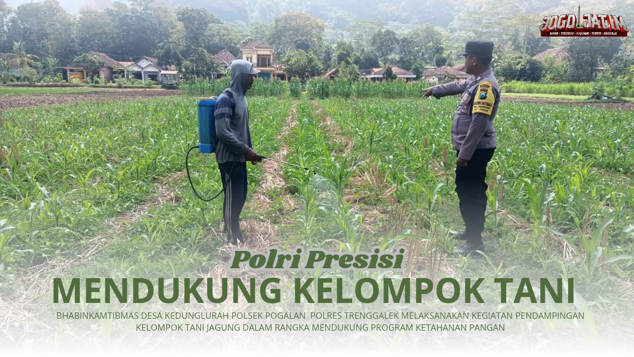 Dukung  Program Presiden, Bhabinkamtibmas Desa Kedunglurah Aktif Lakukan Pendampingan Kelompok Tani Jagung