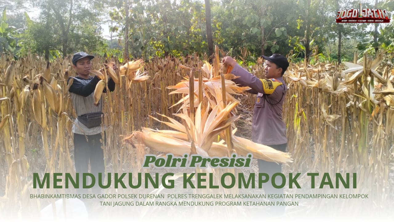 Aktif Lakukan Pendampingan Kelompok Tani, Bhabinkamtibmas Desa Gador Siap Dukung Program Ketahanan Pangan Jagung