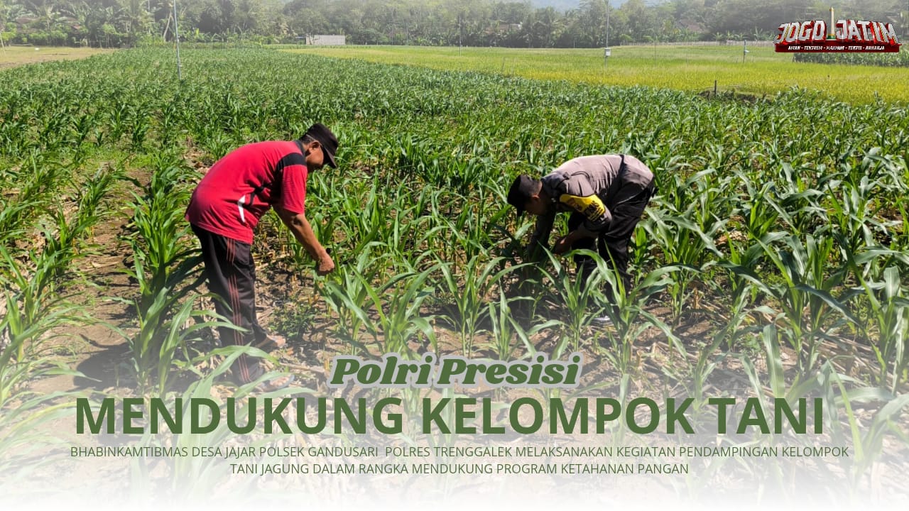 Laksanakan Program Ketahanan Pangan, Bhabinkamtibmas Desa Jajar Siap Mendampingi Kelompok Tani