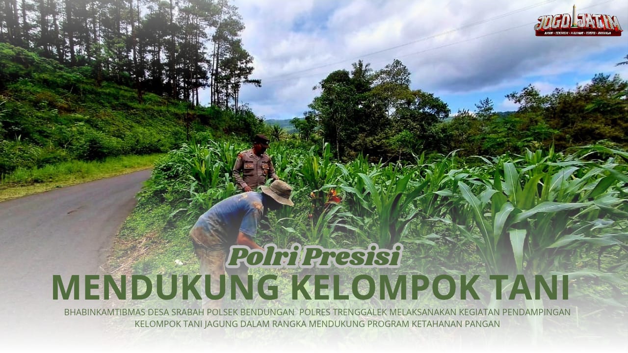 Laksanakan Program Ketahanan Pangan, Bhabinkamtibmas Desa Srabah Aktif Lakukan Pendampingan Kelompok Tani Jagung