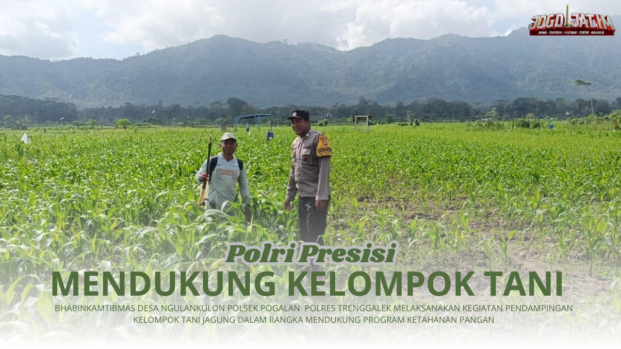 Aktif Lakukan Pendampingan Kelompok Tani, Bhabinkamtibmas Desa Ngulankulon Siap Dukung Program Ketahanan Pangan Jagung