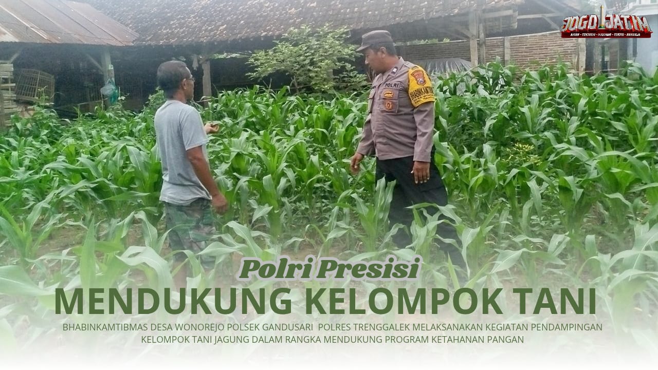 Laksanakan Ketahanan Pangan, Bhabinkamtibmas Desa Wonorejo Aktif Lakukan Pendampingan Kelompok Tani Jagung