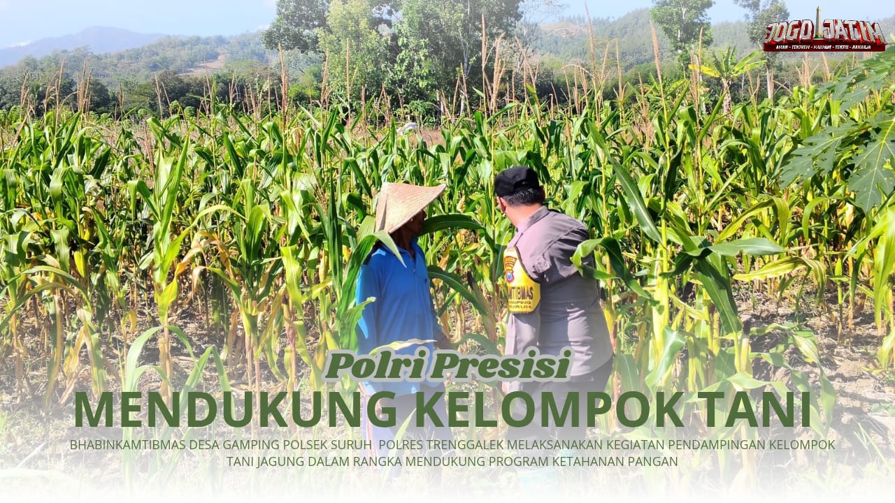 Aktif Lakukan Pendampingan Kelompok Tani, Bhabinkamtibmas Desa Gamping Siap Dukung Program Ketahanan Pangan Jagung