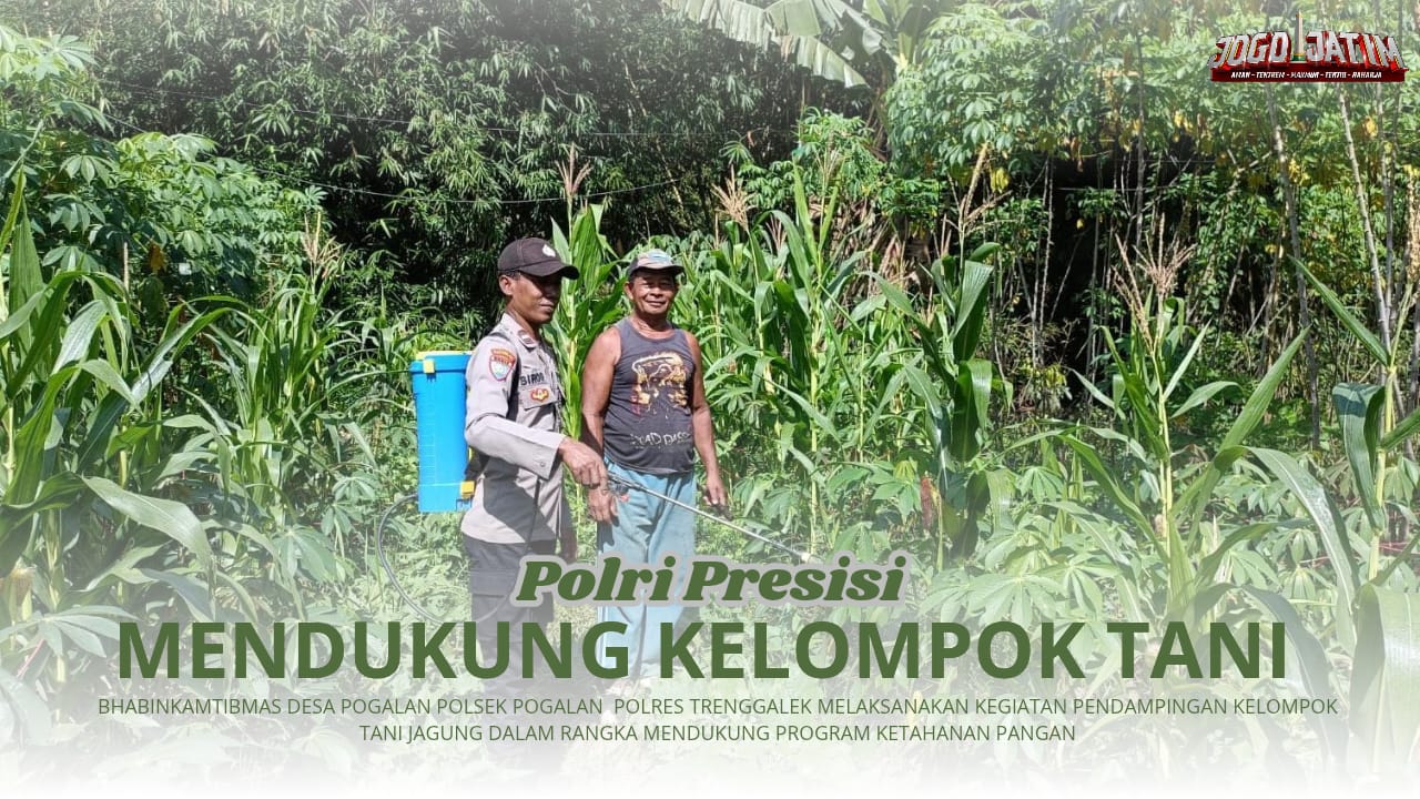 Aktif Lakukan Pendampingan Kelompok Tani, Bhabinkamtibmas Desa Pogalan Siap Dukung Program Ketahanan Pangan Jagung