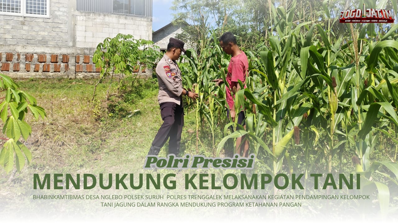 Aktif Lakukan Pendampingan Kelompok Tani, Bhabinkamtibmas Desa Nglebo Siap Jalankan Program Ketahanan Pangan Jagung
