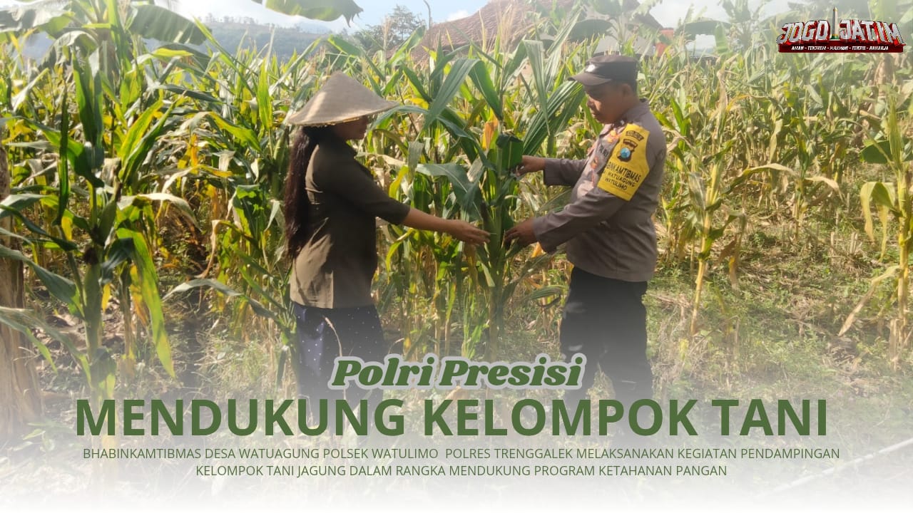 Laksanakan Ketahanan Pangan, Bhabinkamtibmas Desa Watuagung Aktif Lakukan Pendampingan Kelompok Tani Jagung