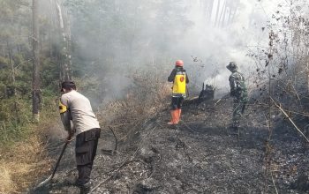 Polres Ngawi dan Tim Gabungan Jinakan Api di Gunung Botak, Medan Berat Jadi Tantangan